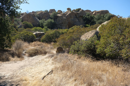Enlarge photo 10
