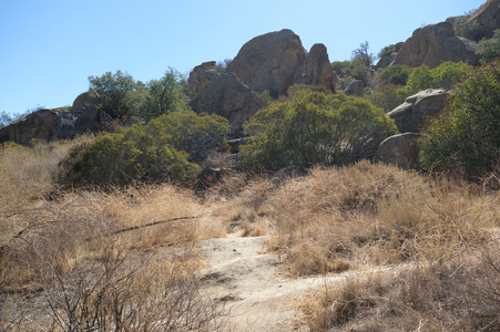 Enlarge photo 23