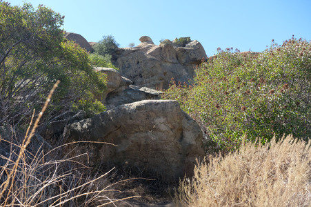 Enlarge photo 24