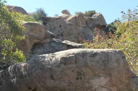 Enlarge photo 188
