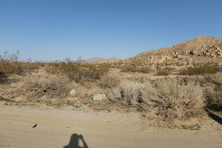 Enlarge photo 10