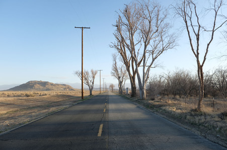 Enlarge photo 16