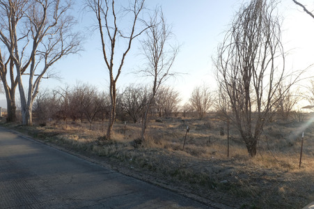 Enlarge photo 4