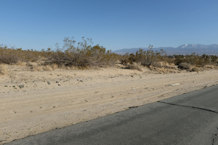Enlarge photo 22