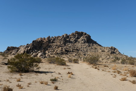 Enlarge photo 85