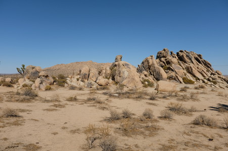 Enlarge photo 79