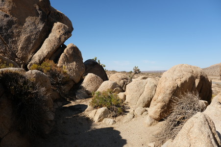 Enlarge photo 23