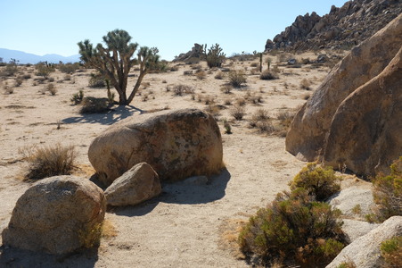 Enlarge photo 6
