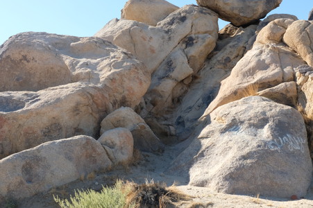 Enlarge photo 87