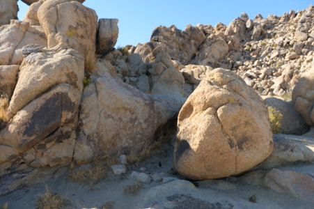 Enlarge photo 93