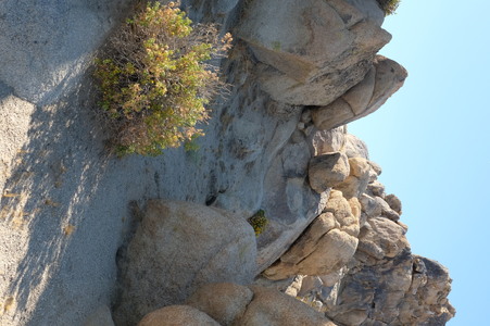 Enlarge photo 34