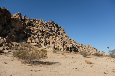 Enlarge photo 59