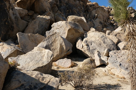 Enlarge photo 7