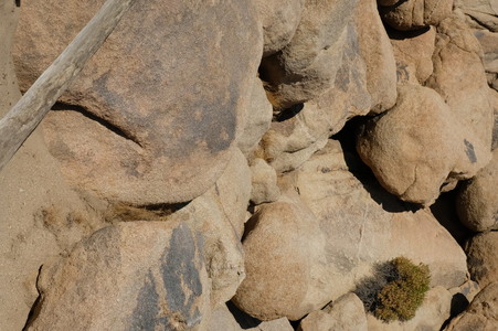 Enlarge photo 19
