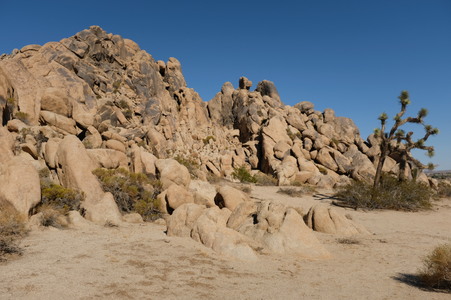Enlarge photo 75