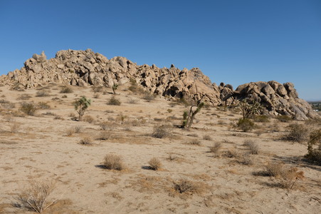 Enlarge photo 44