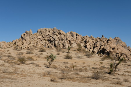 Enlarge photo 88