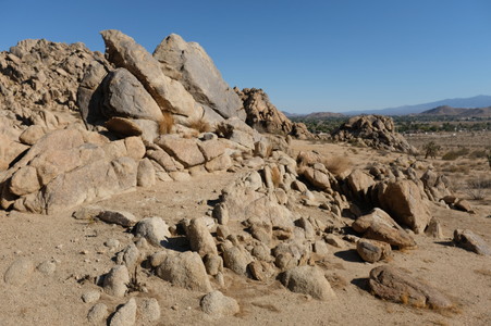 Enlarge photo 41