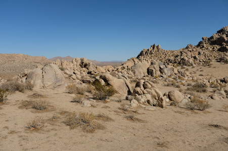 Enlarge photo 81