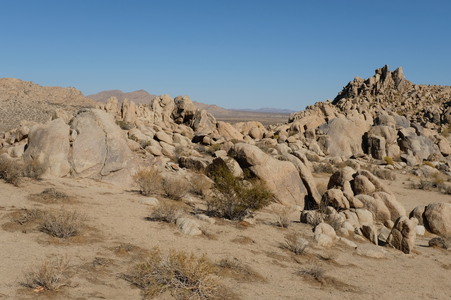 Enlarge photo 42