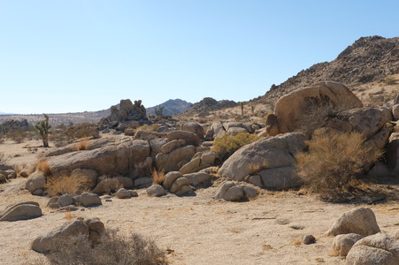 Enlarge photo 55