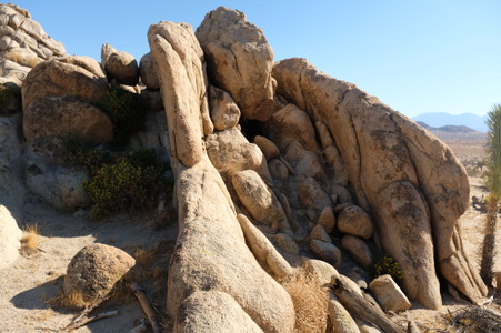 Enlarge photo 45