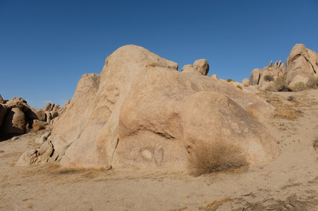 Enlarge photo 66