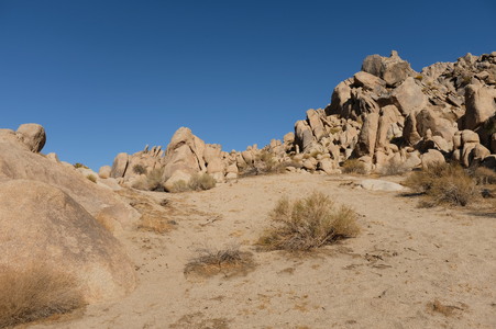 Enlarge photo 51