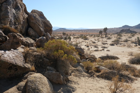 Enlarge photo 25
