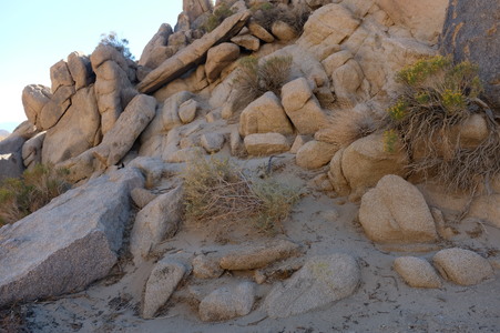 Enlarge photo 46