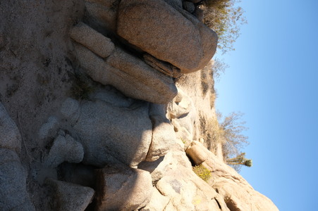 Enlarge photo 57