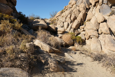 Enlarge photo 15