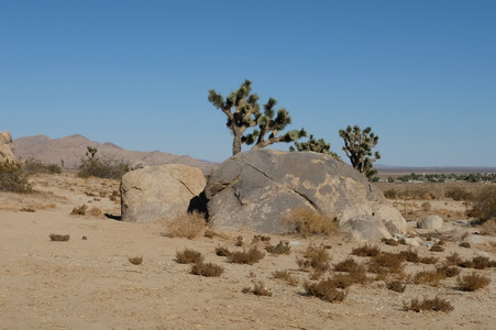 Enlarge photo 52