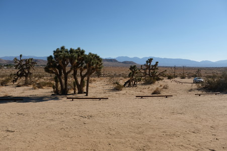 Enlarge photo 61
