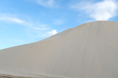 Enlarge photo 47