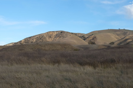 Enlarge photo 35