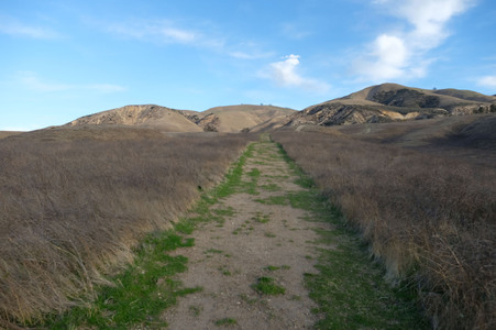 Enlarge photo 42