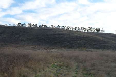 Enlarge photo 27