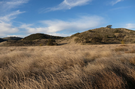 Simi Valley_Gilibrand _ Big Sky Ranch