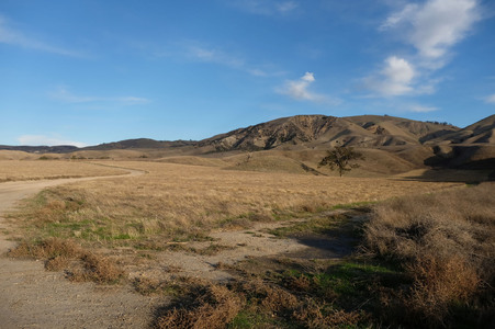 Enlarge photo 12