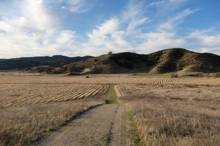 Enlarge photo 14