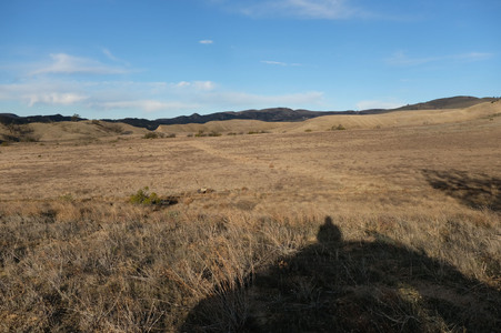 Enlarge photo 16