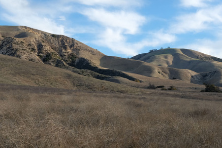 Enlarge photo 19