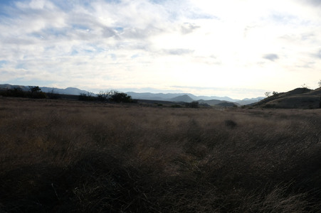 Enlarge photo 37