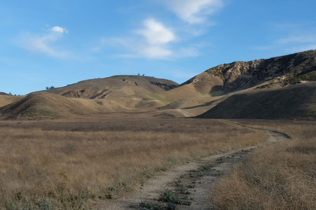 Enlarge photo 30