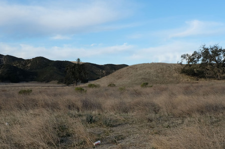Enlarge photo 31