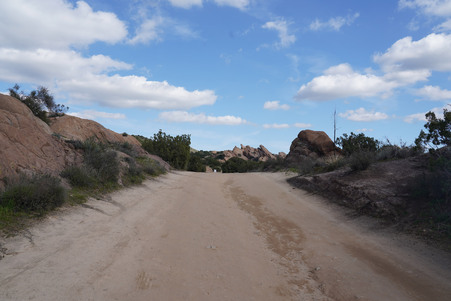 Enlarge photo 49