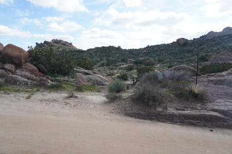 Enlarge photo 18