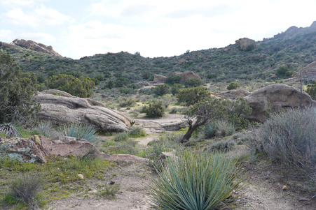 Vasquez Rocks 2024