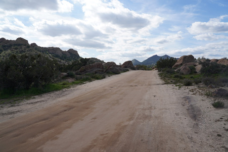 Enlarge photo 44